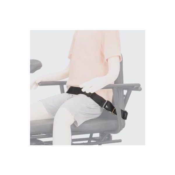 Tern Sidekick Seat Belt