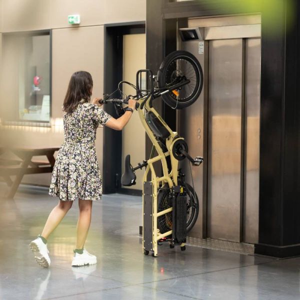 Yuba Electric Fastrack 